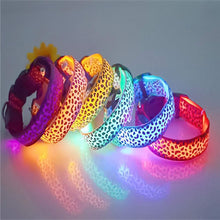 Cargar imagen en el visor de la galería, COLLAR CON LUZ LED PARA PERRO
