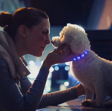 Cargar imagen en el visor de la galería, COLLAR CON LUZ LED PARA PERRO
